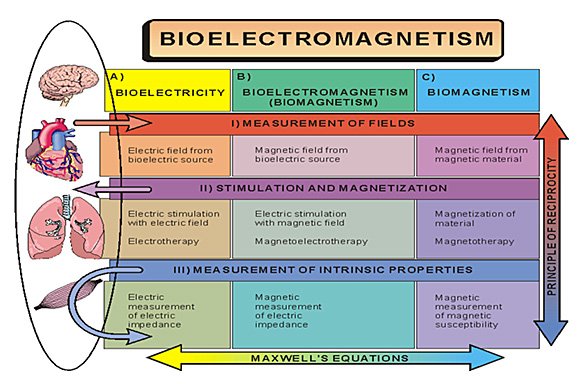 Bioelectromagnetism