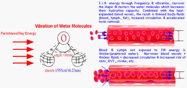 FIR Therapeutic Mechanism of Action Explained