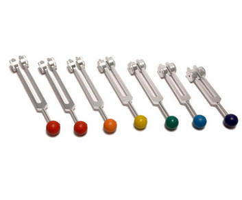 Weighted Tuning Forks with Colored Ball Identifiers Fitted.