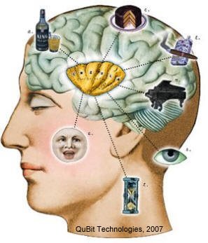The Insular Cortex