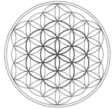 The seed of life in the middle of the flower of life