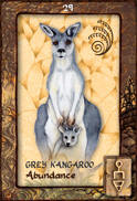 Grey Kangaroo Dreaming Oracle Cards