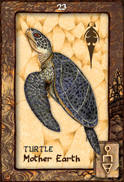 Turtle Dreaming Oracle Cards