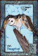 OWL Dreaming Oracle Cards