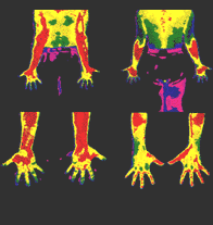 Body Temperature before stimulation to hands