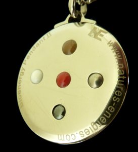 Bioenergy Pendant Reverse Side